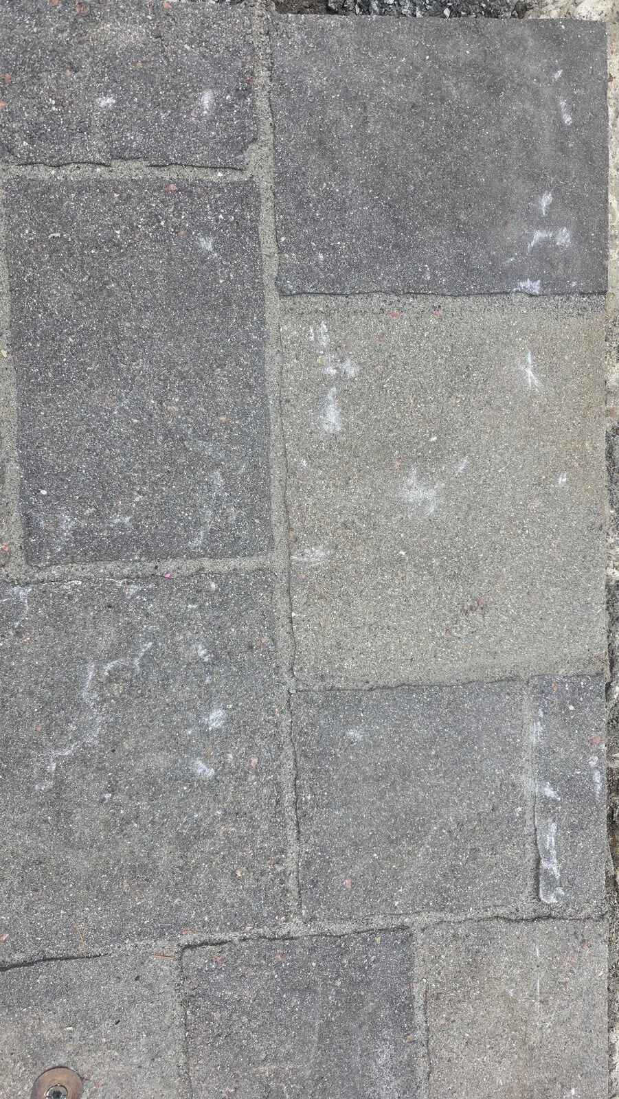 Pool coping and paver repair — before (3)