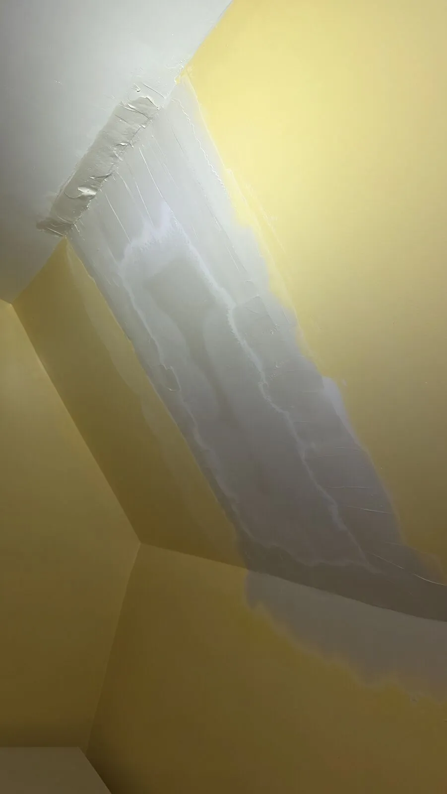 Roof replacement and skylight removal — work in progress (8)