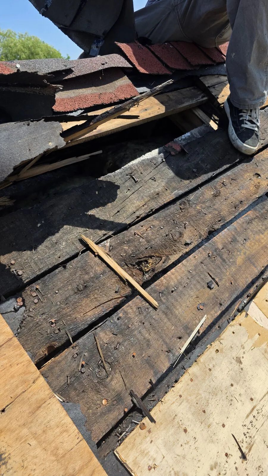 Roof replacement and skylight removal — work in progress (14)