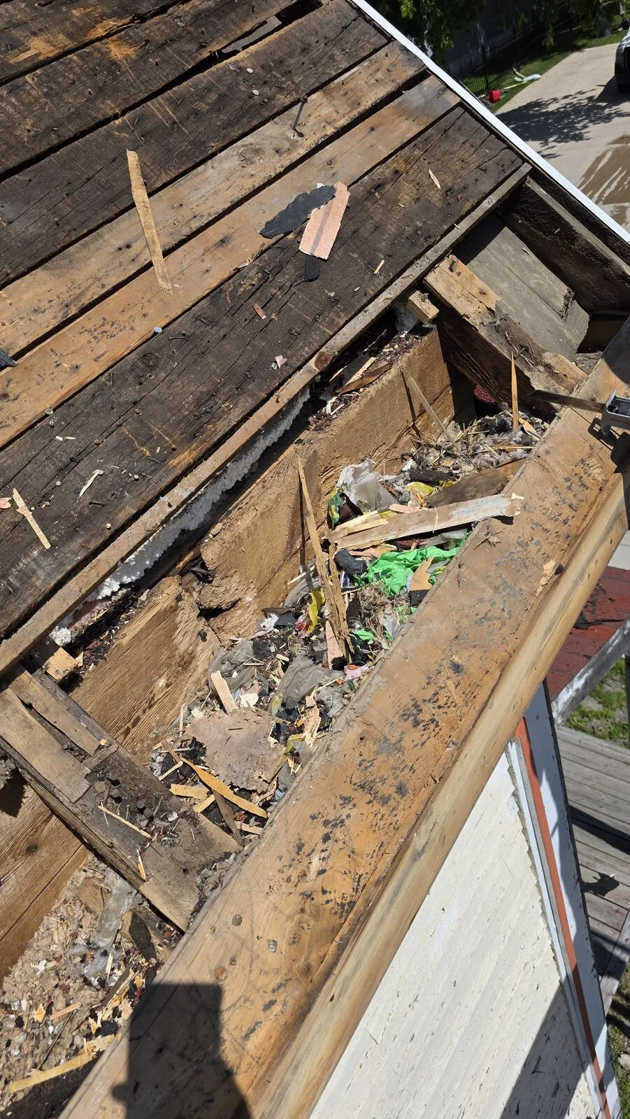 Roof replacement and skylight removal — work in progress (15)